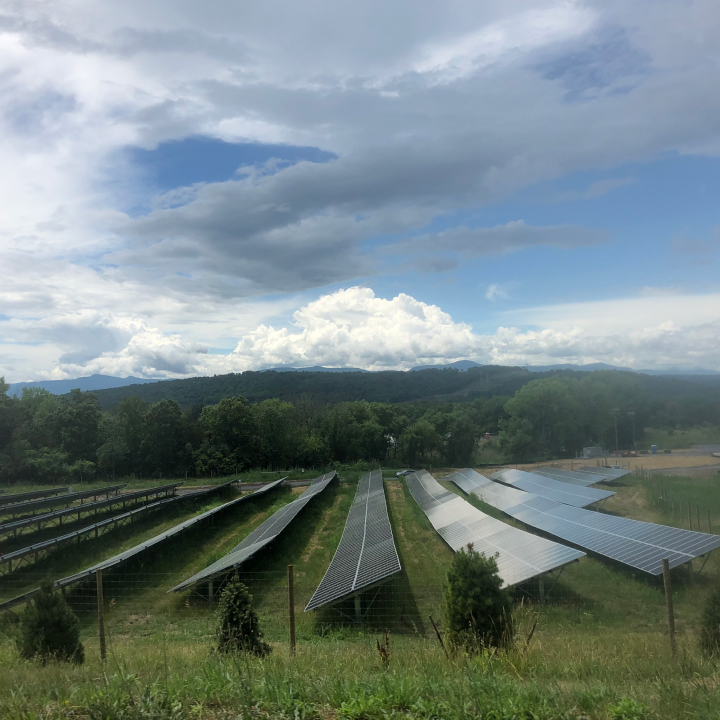 Solar panels in field