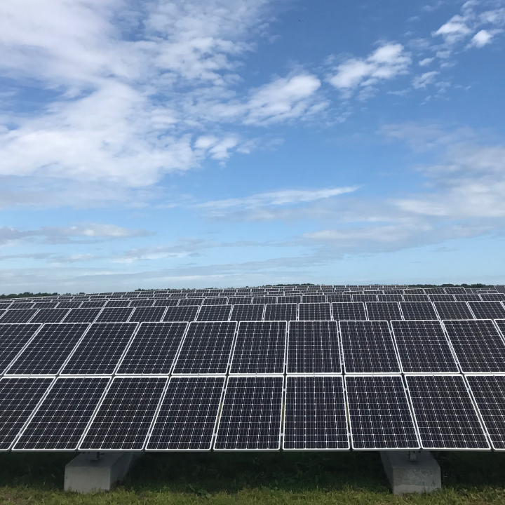 Blue sky above solar panels